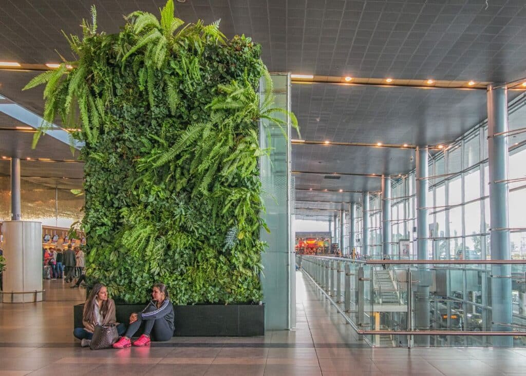 Vertical Gardens Contribute to a Greener Miami