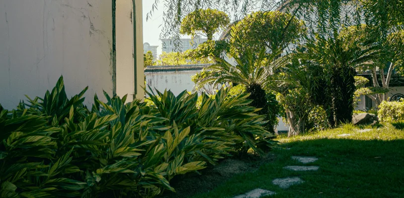 Top 5 Reasons Why Vertical Gardens Are Essential for Miami Homes