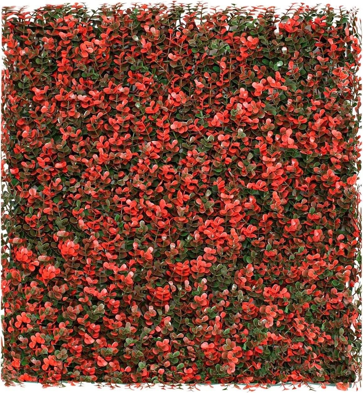 6 PCS 20″x20″ Artificial Boxwood Panels Faux Plant Grass Green Wall Panel Decoration for Outdoor Indoor Garden Backyard (Buxus Red)