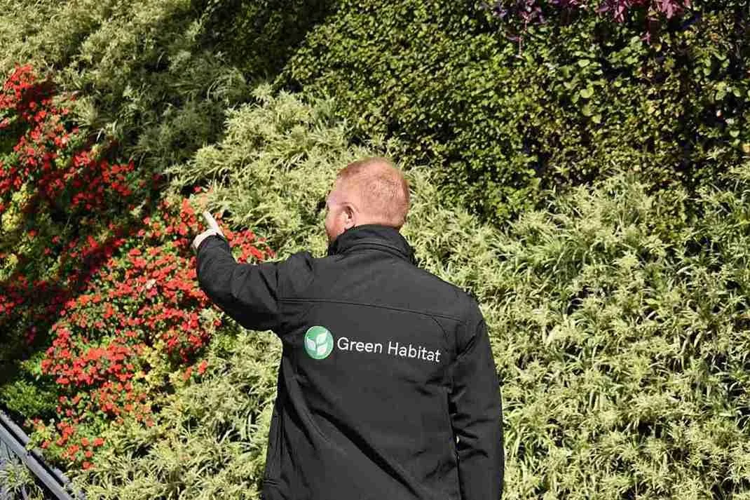 The best green wall constructors from Miami Florida.