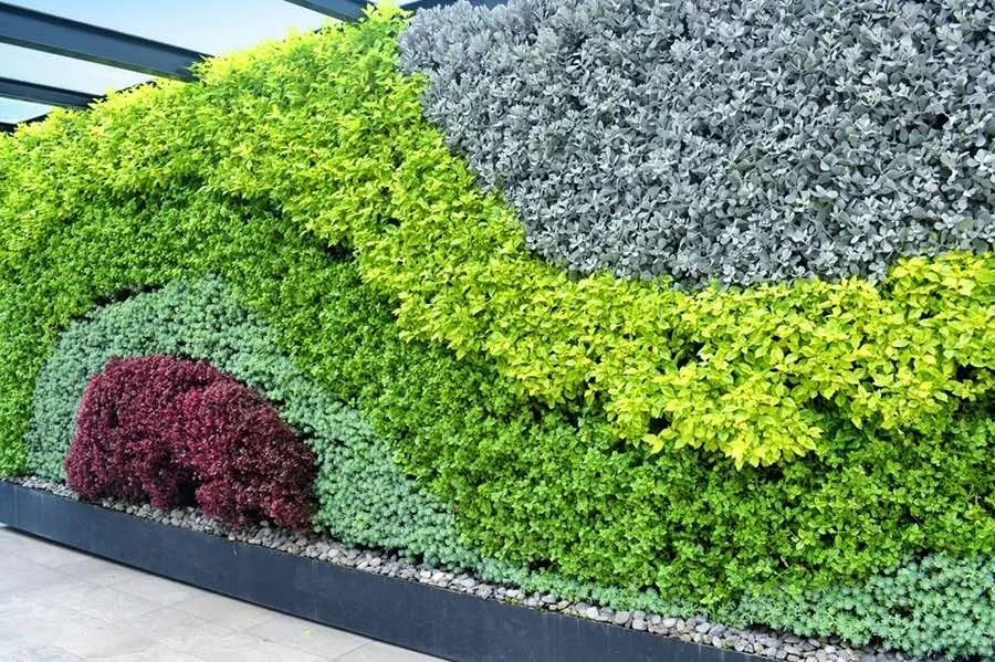 Transforming Corporate Spaces: The Impact of Vertical Gardens on Productivity and Well-Being
