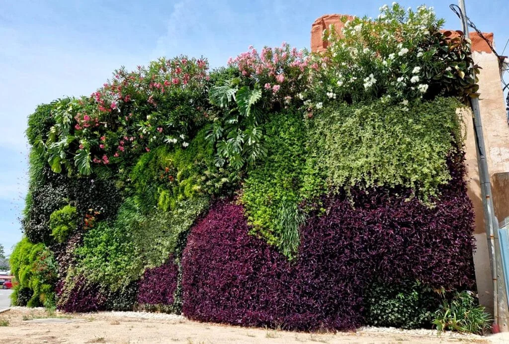 Green Offices: Why Vertical Gardens Are Becoming a Must-Have for Modern Workspaces