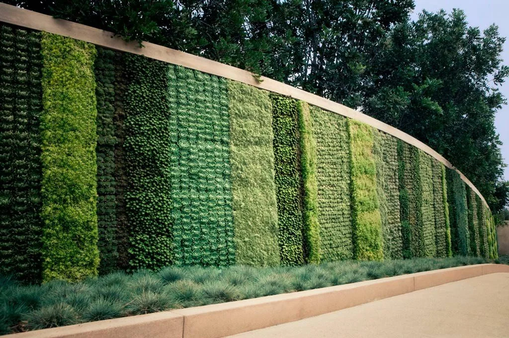 Landscaping with a Purpose: How Green Habitat Florida Is Bringing Sustainable Beauty to Miami