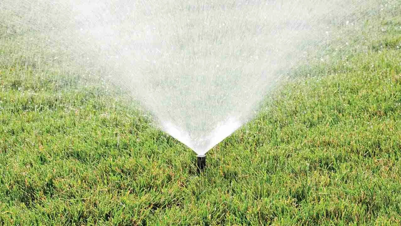 Water-Efficient Landscaping: Why Miami Homeowners Should Invest in Irrigation Systems