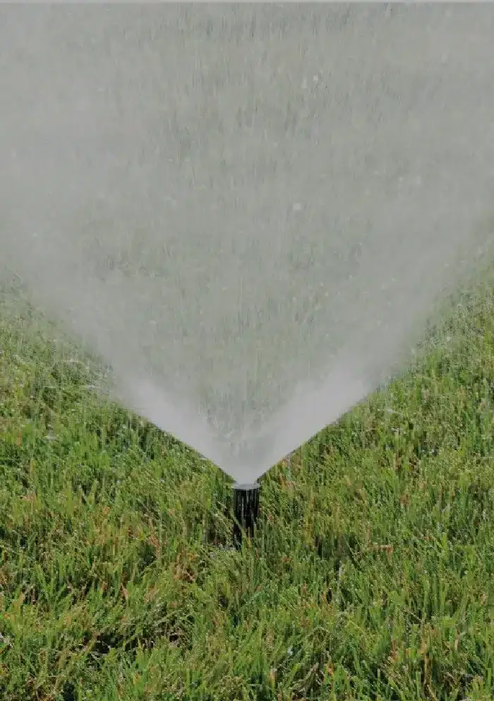 Watering systems