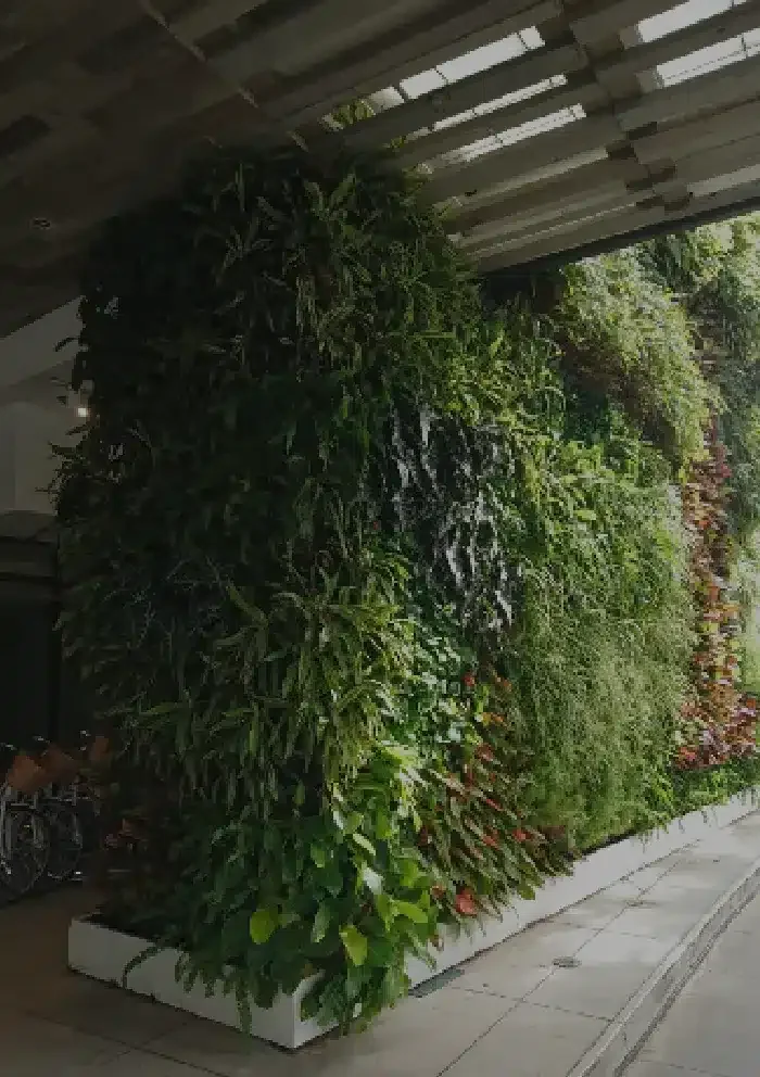 Green walls Miami