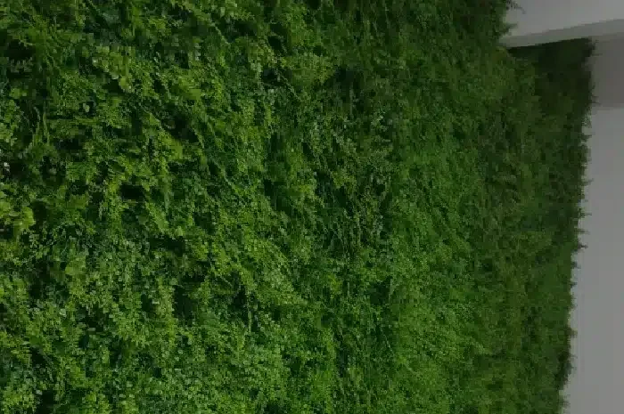 Artificial green walls