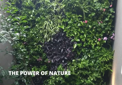 Unleash Your True Power