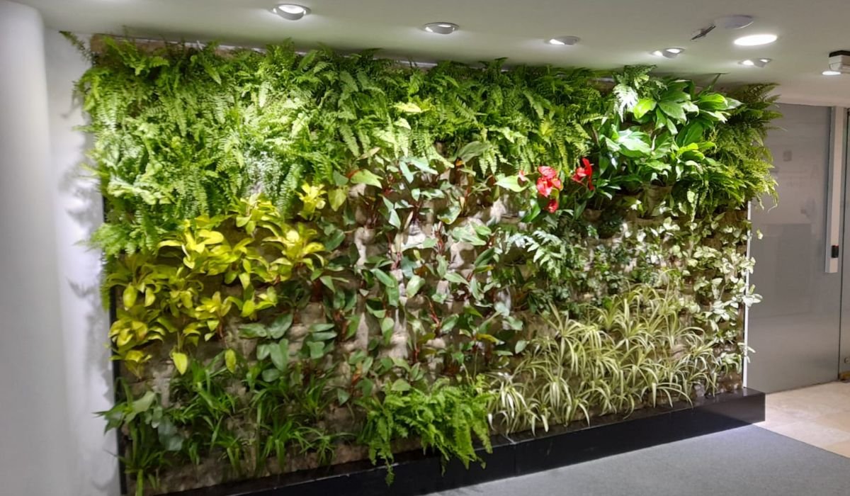 The Future of Landscaping: Vertical Gardens as the Key to Urban ...