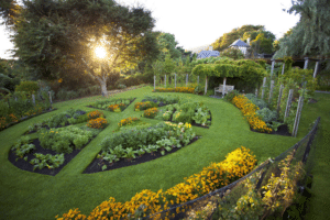 luxury miami garden